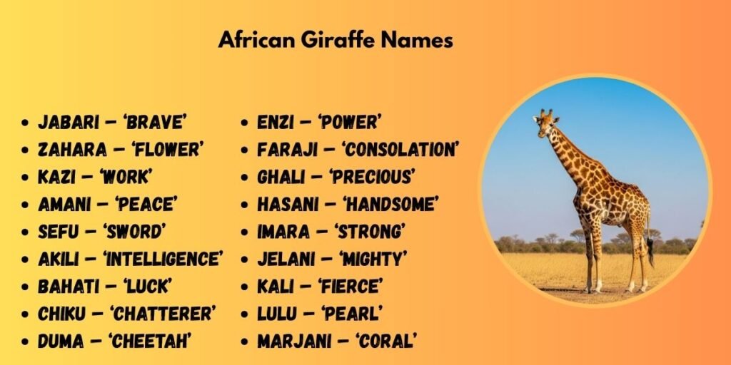African Giraffe Names