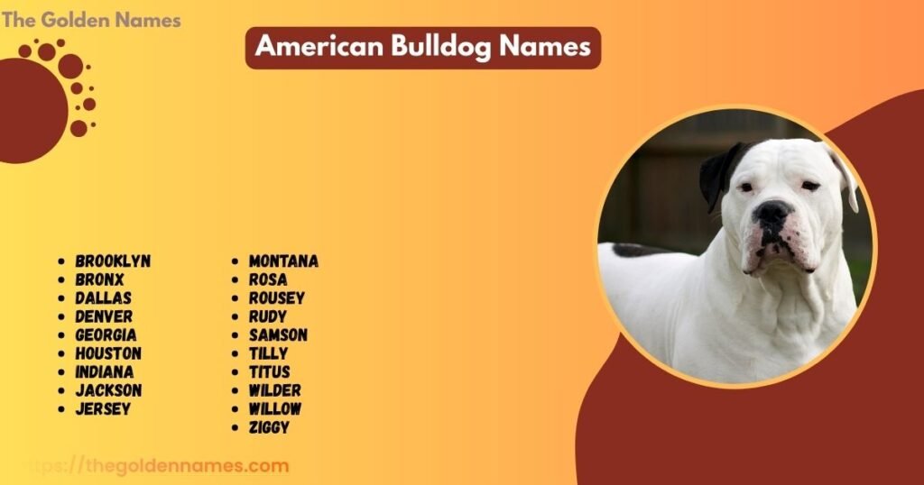 American Bulldog Names