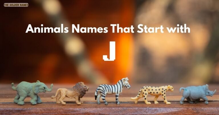Animals Names That Start with J