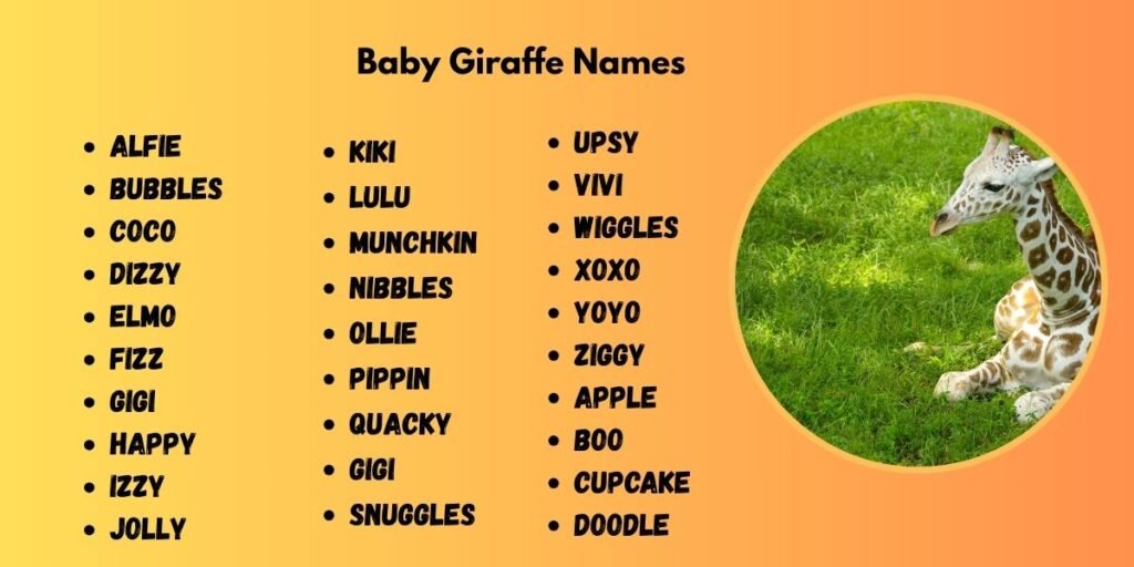 Baby Giraffe Names