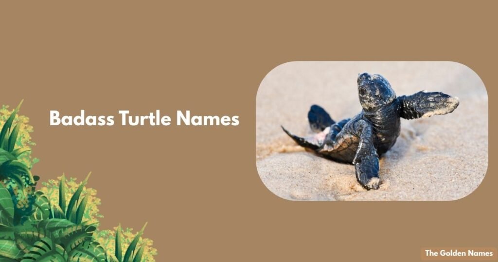 Badass Turtle Names