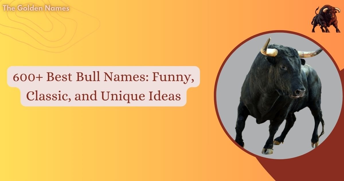 Bull Names