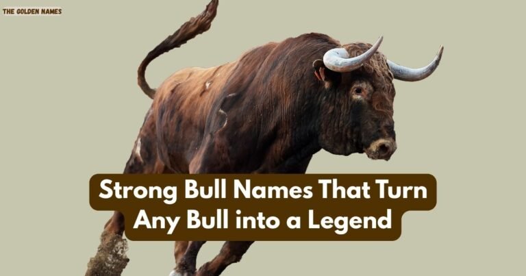 Bull Names