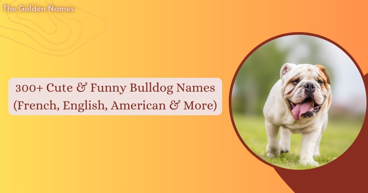Bulldog Names