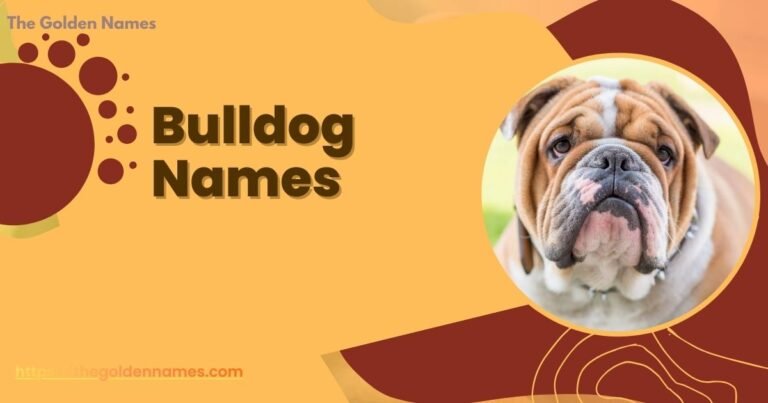 Bulldog Names