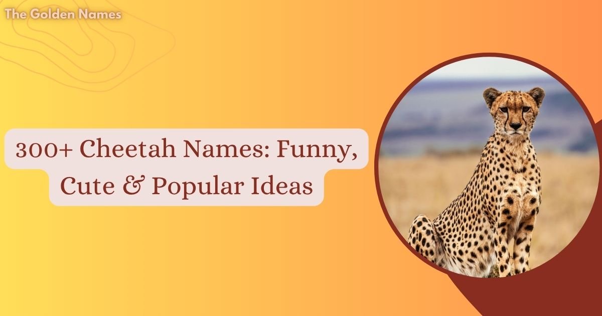 Cheetah Names
