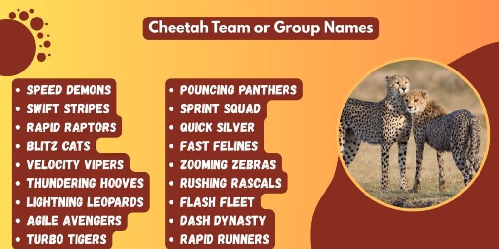 Cheetah Team or Group Names