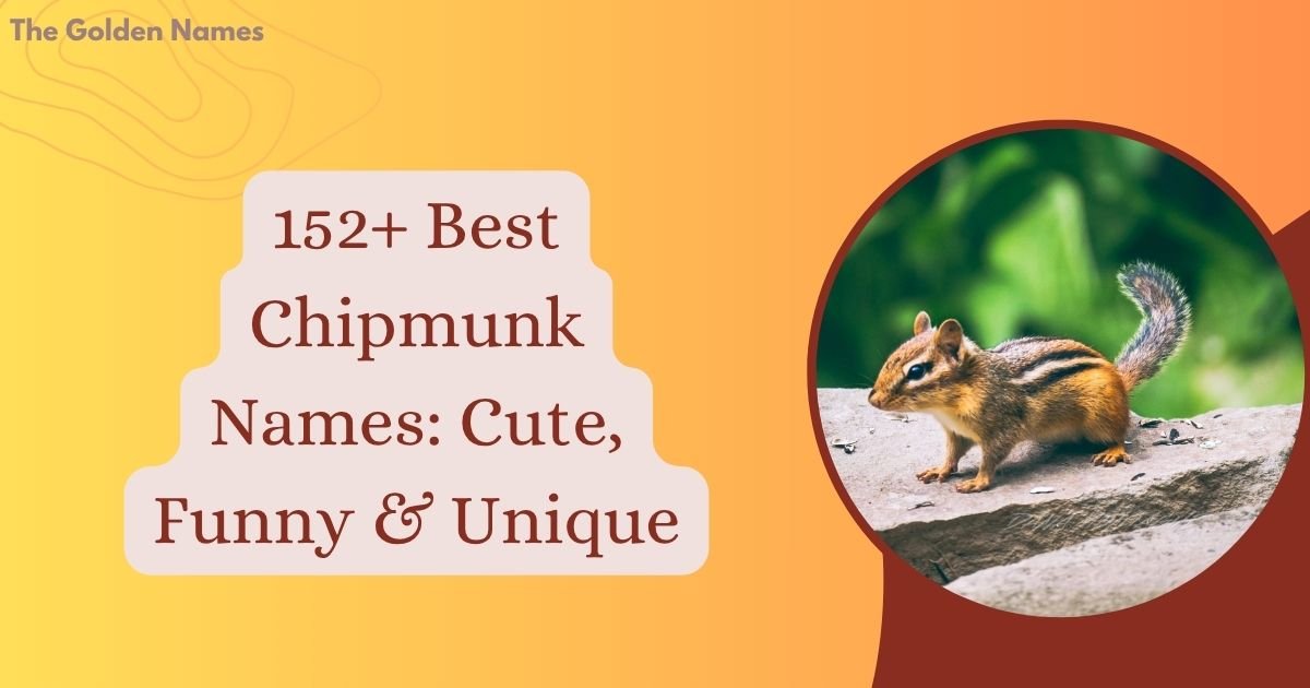 Chipmunk Names