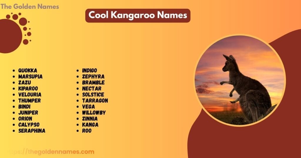 Cool Kangaroo Names