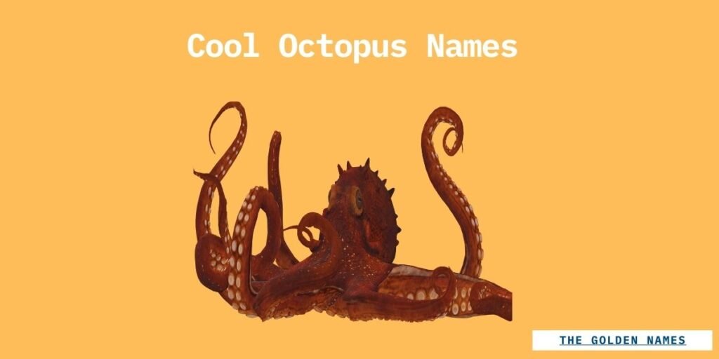 Cool Octopus Names