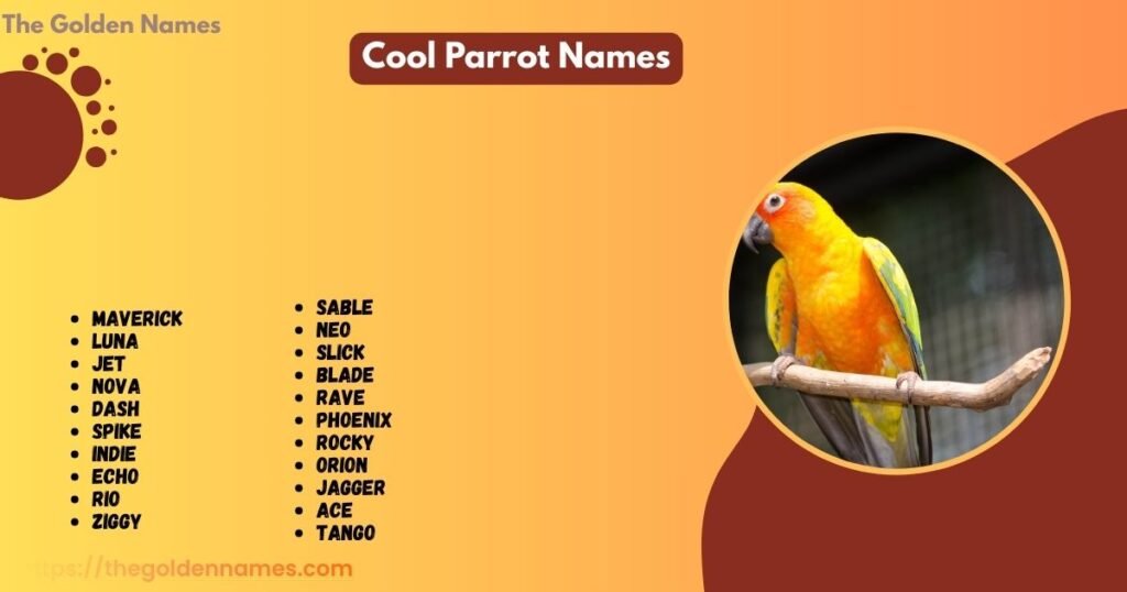Cool Parrot Names