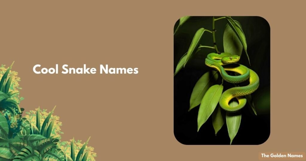 Cool Snake Names