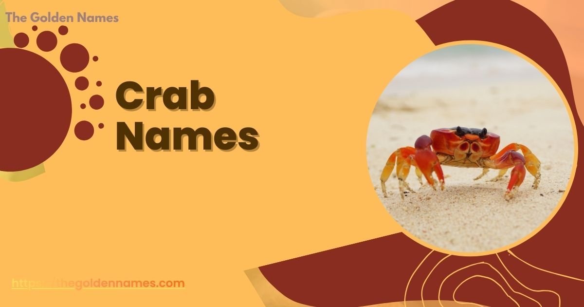 Crab Names