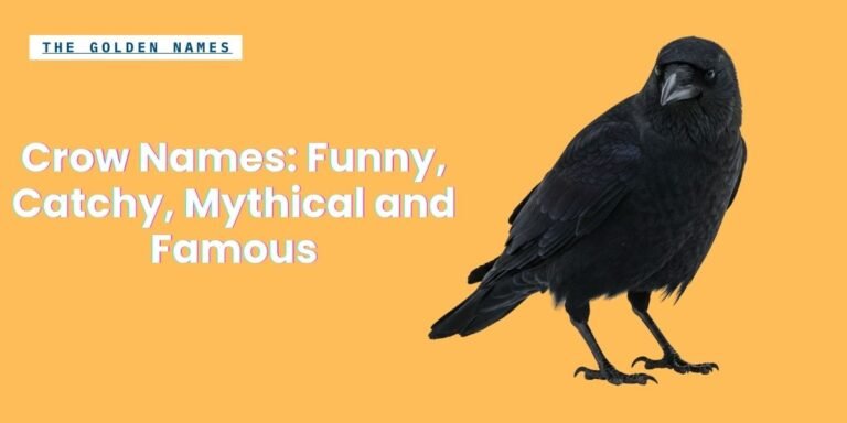 Crow Names