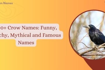 Crow Names