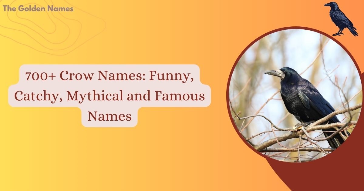 Crow Names