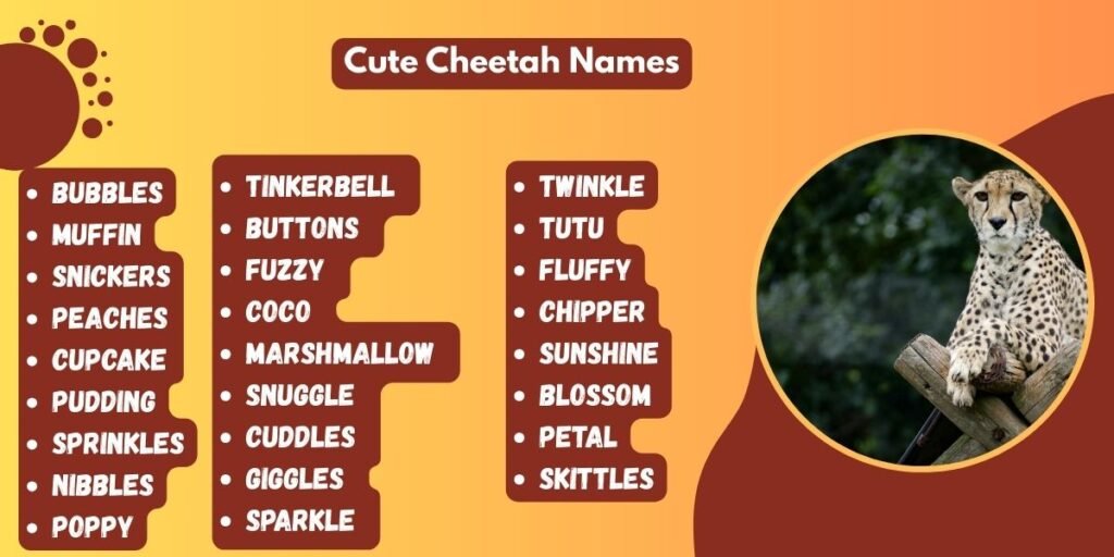 Cute Cheetah Names