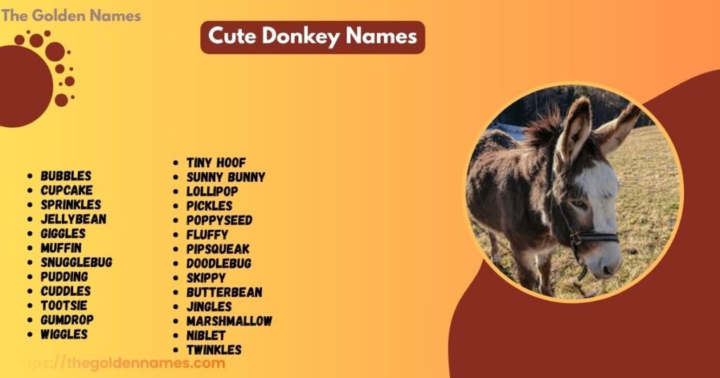 Cute Donkey Names