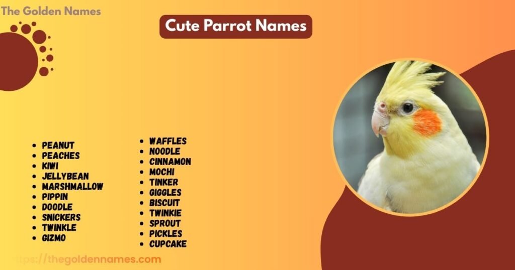 Cute Parrot Names