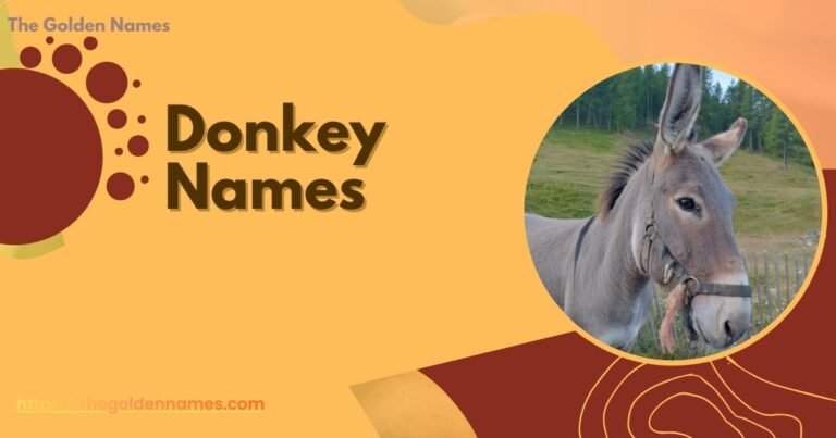 Donkey Names