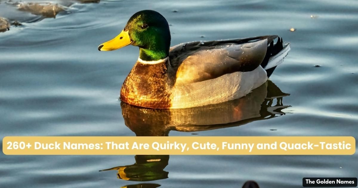 Duck Names