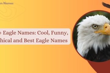 Eagle Names