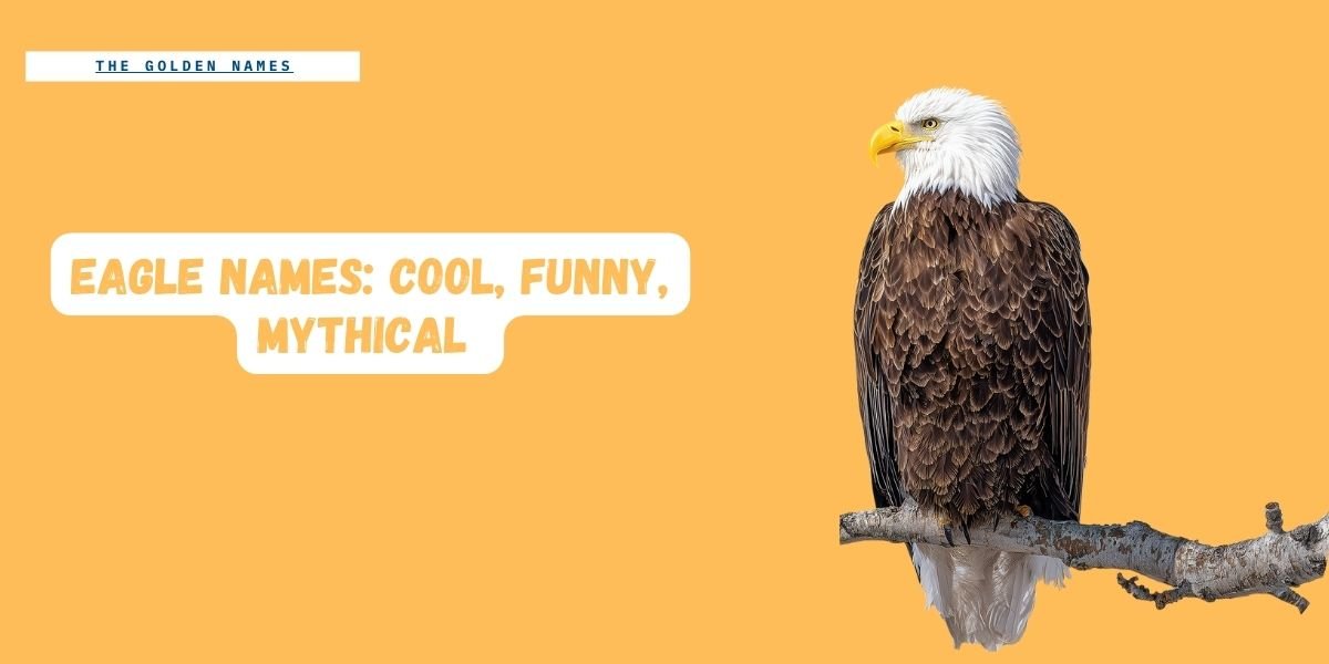 Eagle Names Cool, Funny, Mythical