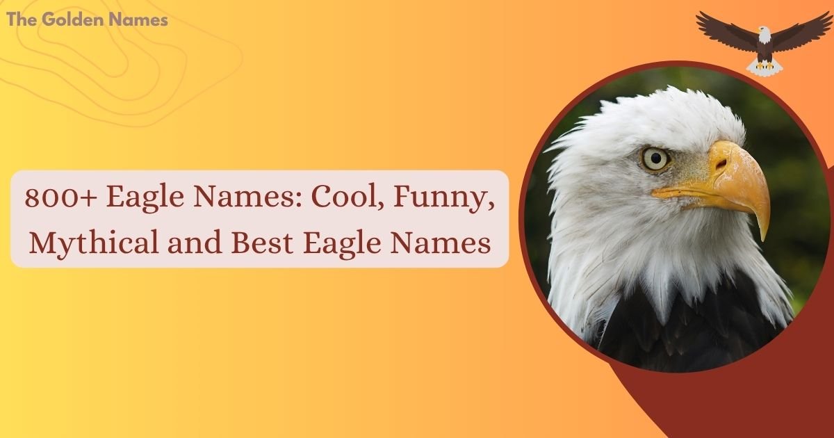 Eagle Names