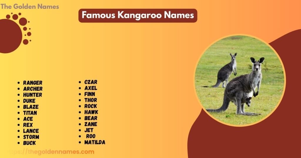 Famous Kangaroo Names