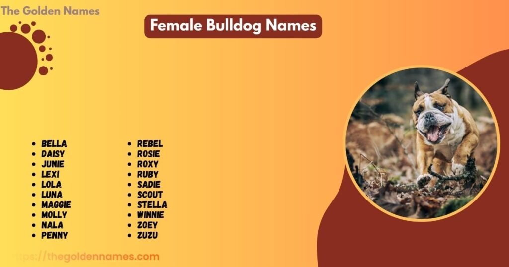 Female Bulldog Names