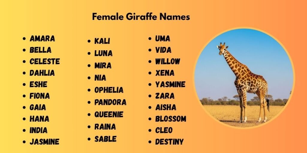 Female Giraffe Names