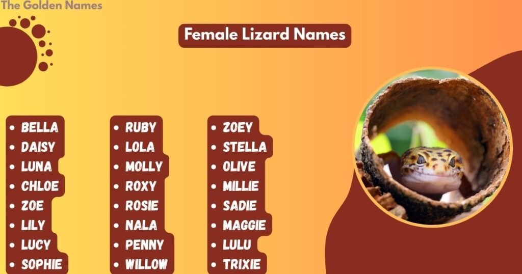 Female Lizard Names