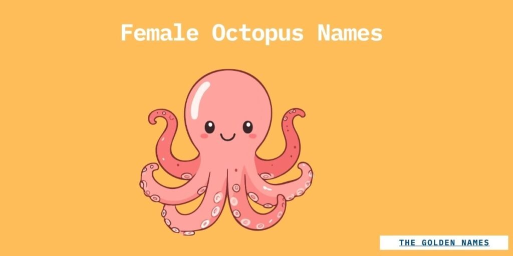 Female Octopus Names