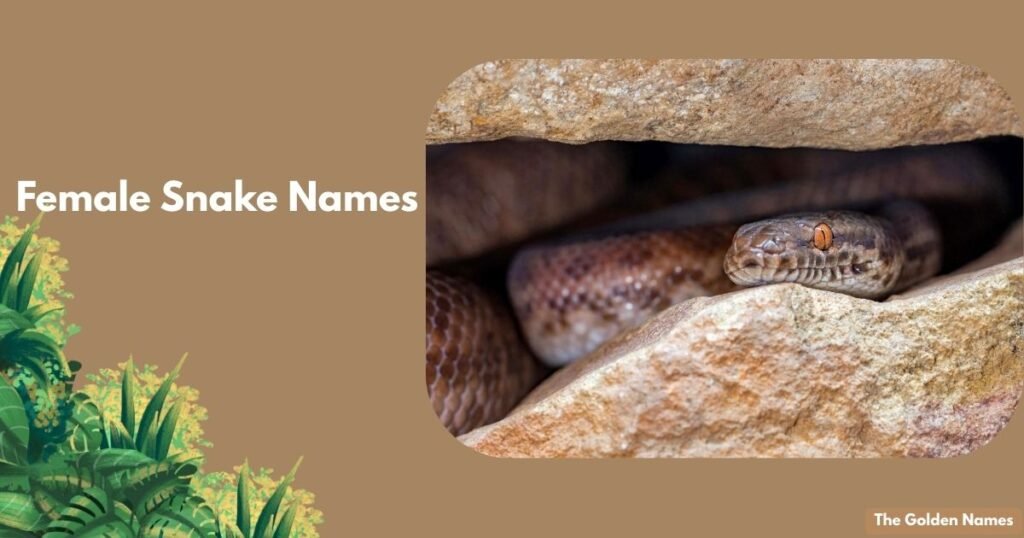Female Snake Names