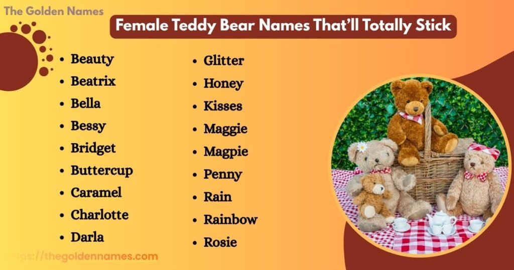 Female Teddy Bear Names That'll Totally Stick