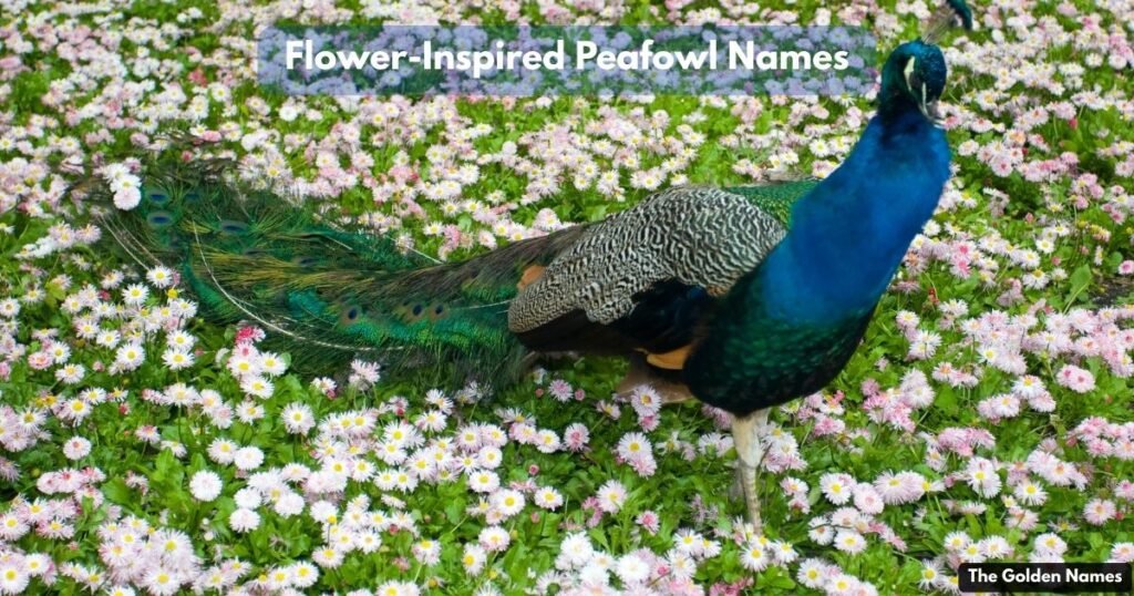 Flower-Inspired Peafowl Names