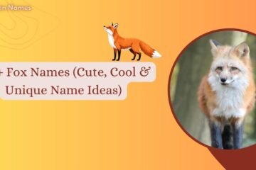 Fox Names