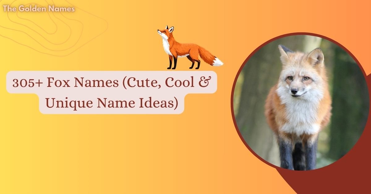 Fox Names