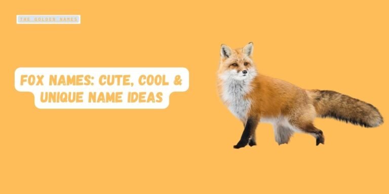 Fox Names