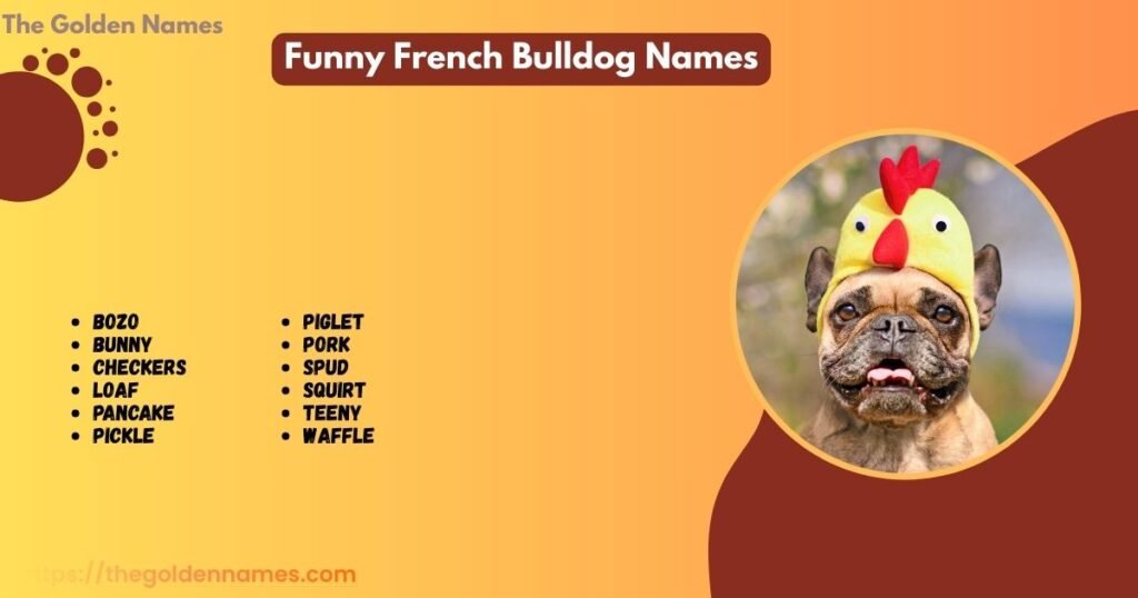 Funny French Bulldog Names