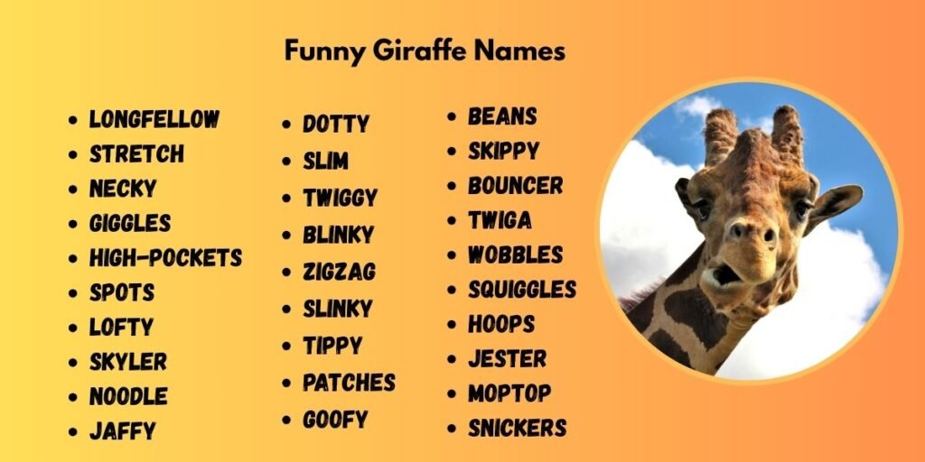 Funny Giraffe Names