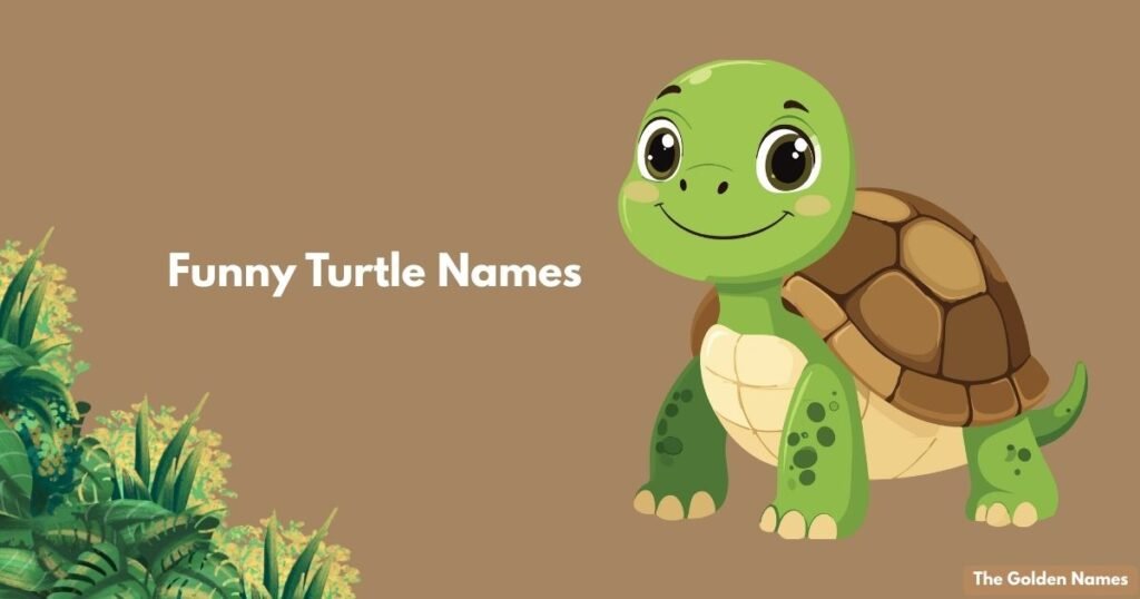 Funny Turtle Names