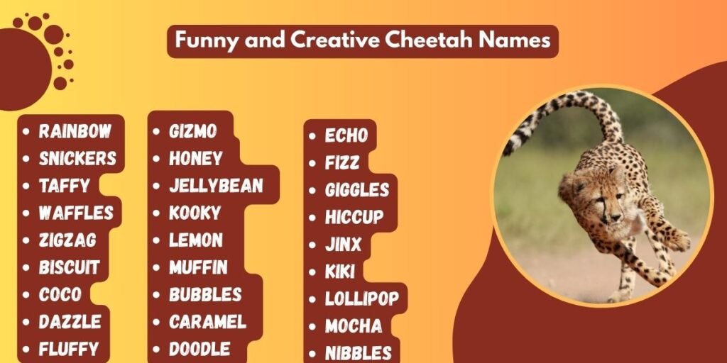 Funny and Creative Cheetah Names