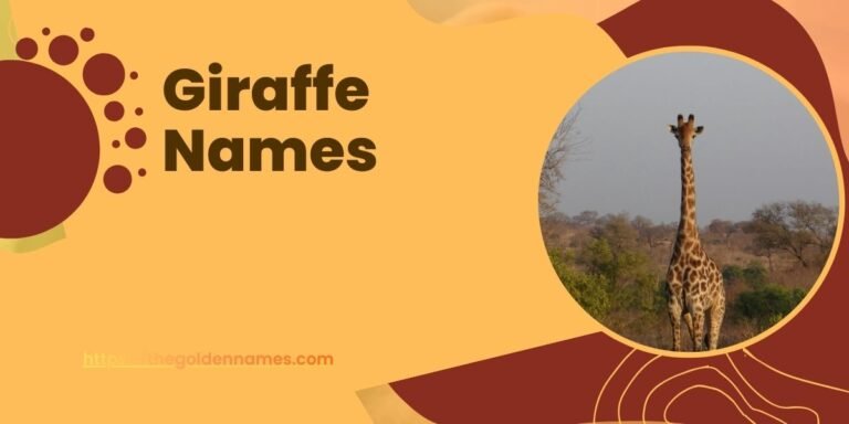 Giraffe Names