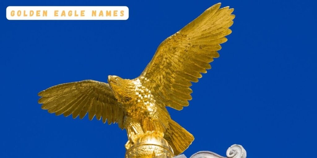 Golden Eagle Names