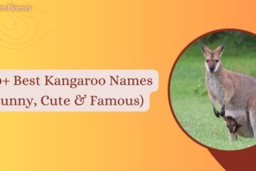 Kangaroo Names
