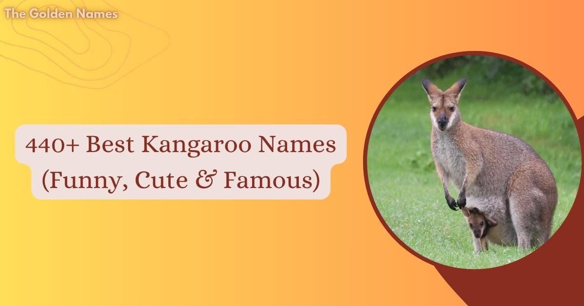 Kangaroo Names