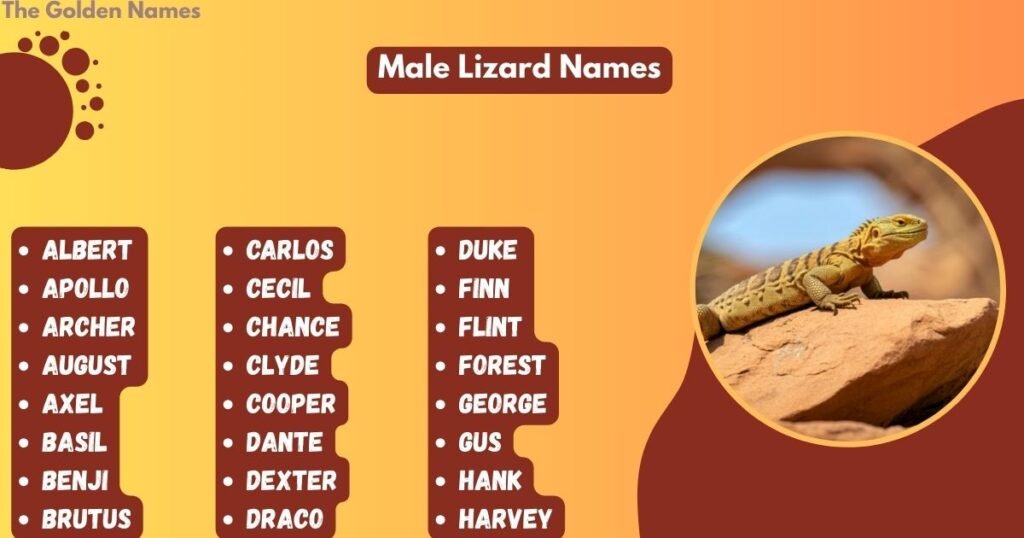 Male Lizard Names
