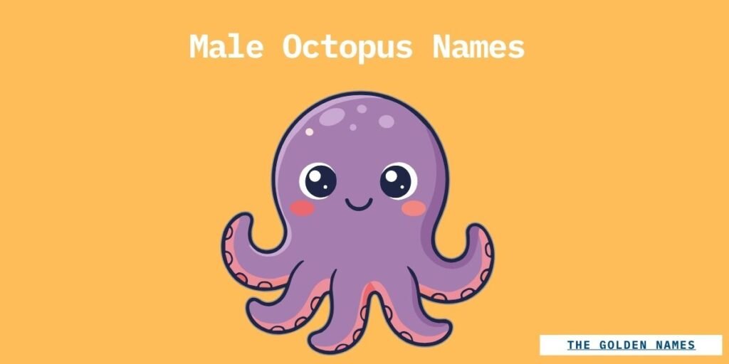 Male Octopus Names