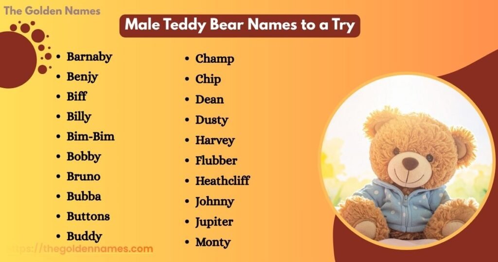 Male Teddy Bear Names to a Try